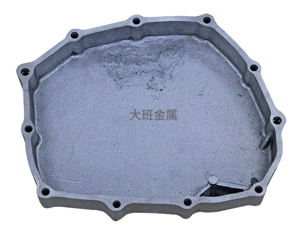 铸造泵体密封件